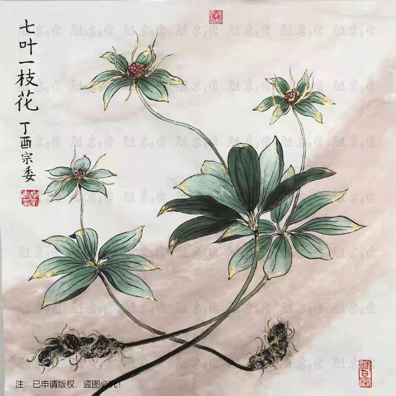 七叶一枝花