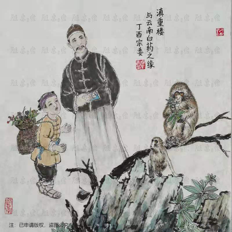 “滇重楼与云南白药”