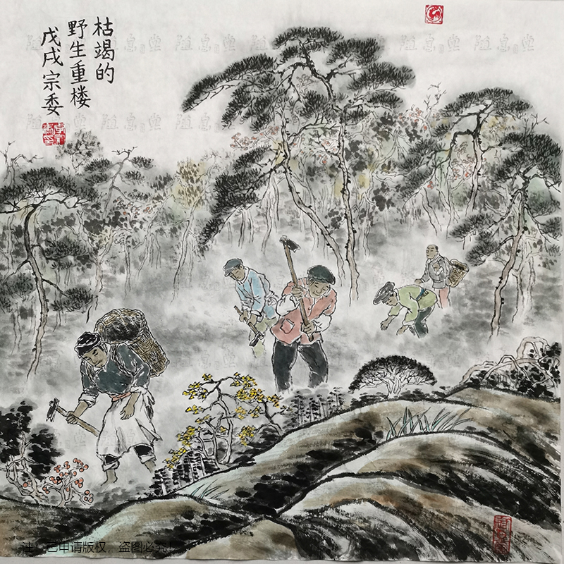 “枯竭的野生重楼”